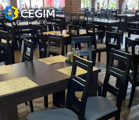Hotel Visina - mobilier CEGIM, fotografia 3