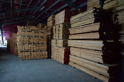 CEGIM export