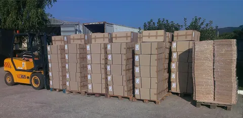 CEGIM export