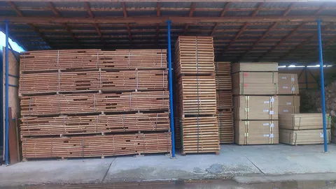 CEGIM export