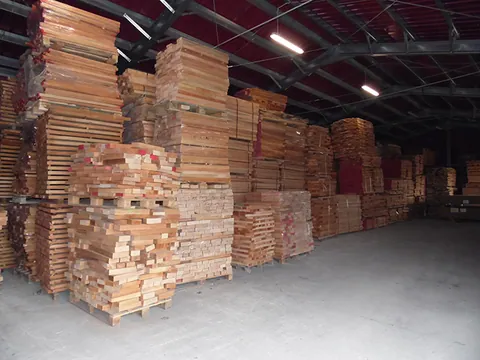 CEGIM export