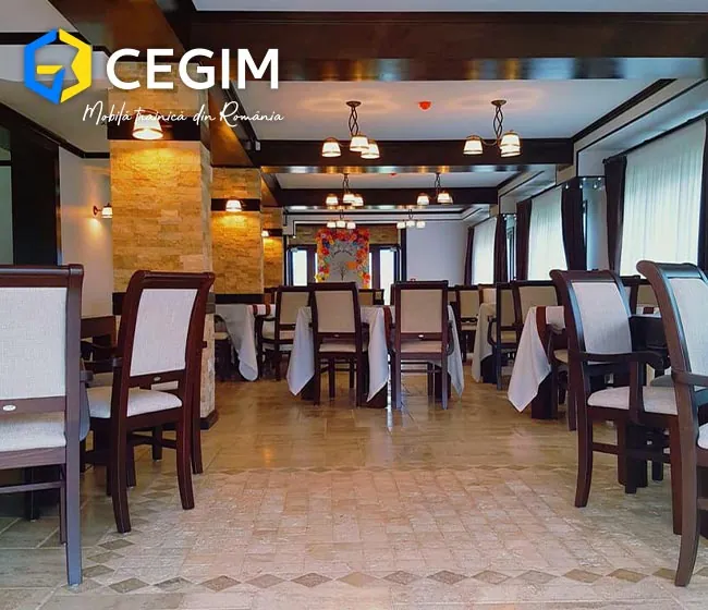 Pensiunea Câmpia Soarelui - mobilier CEGIM, fotografia 2