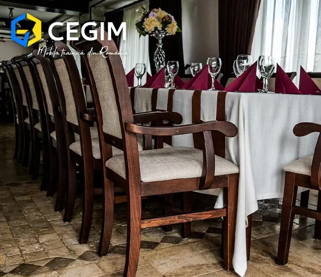 Pensiunea Câmpia Soarelui - mobilier CEGIM
