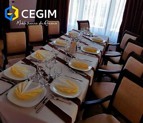 Pensiunea Câmpia Soarelui - mobilier CEGIM, fotografia 3