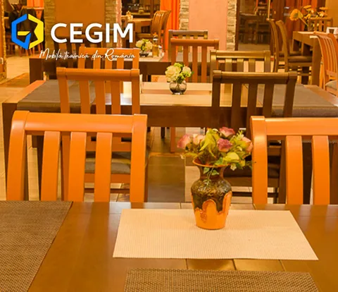 Pensiunea Bucura - mobilier CEGIM, fotografia 6