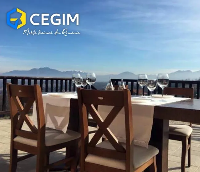 Pensiunea Top House - mobilier CEGIM
