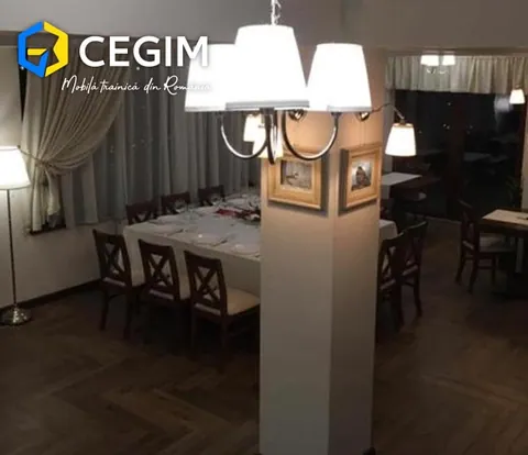 Pensiunea Top House - mobilier CEGIM, fotografia 4
