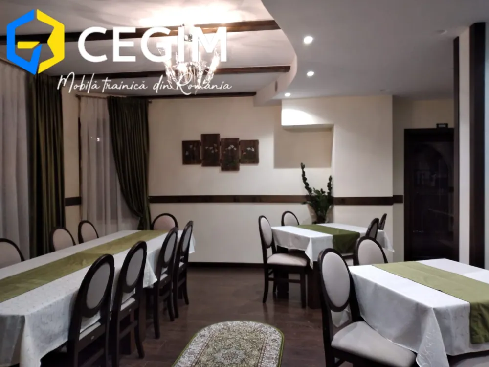 Pensiunea Alexis - mobilier CEGIM