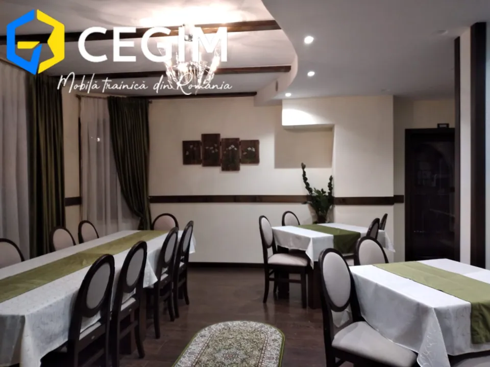 Pensiunea Alexis - mobilier CEGIM