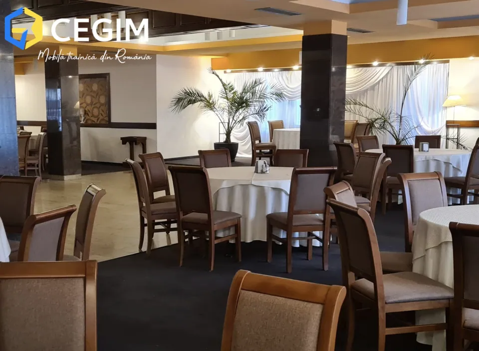 Floarea Soarelui - mobilier CEGIM