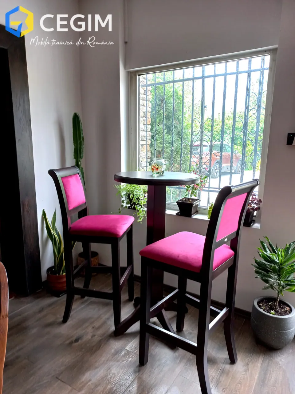 Carolin SRL - mobilier CEGIM