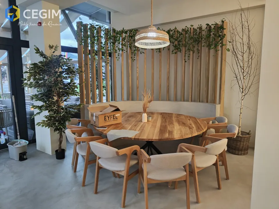 Birt Coffee Shop - mobilier CEGIM