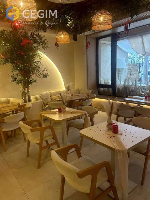 Zorbas - mobilier CEGIM, fotografia 4