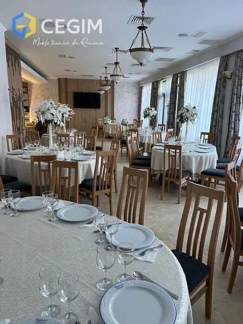 Dunarea - mobilier CEGIM
