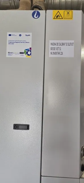 Mașină de calibrat și șlefuit Biesse Viet S1