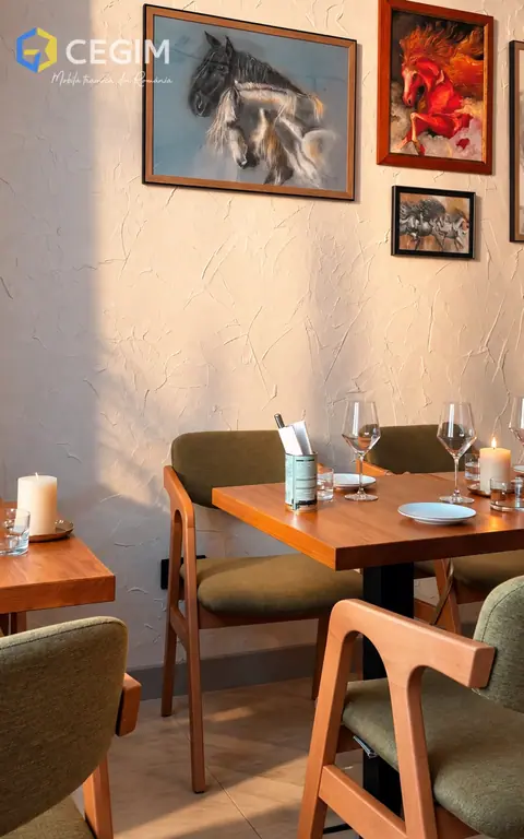 Cimbru Tapas Bar - mobilier CEGIM, fotografia 4